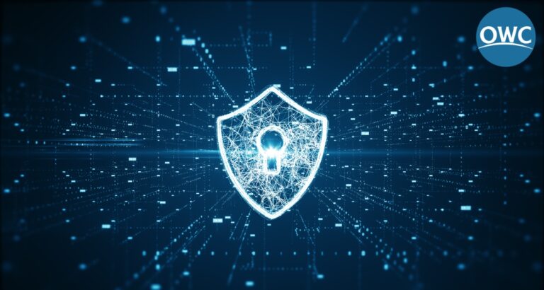 Cyber Insurance in 2025: What It Covers and Why It Matters For Global Organizations article image