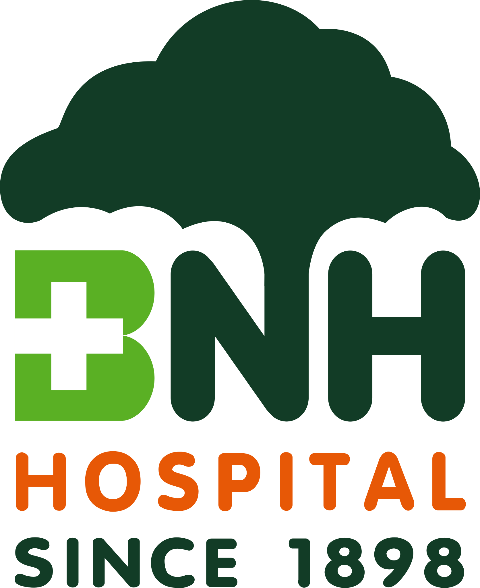 BNH Hospital