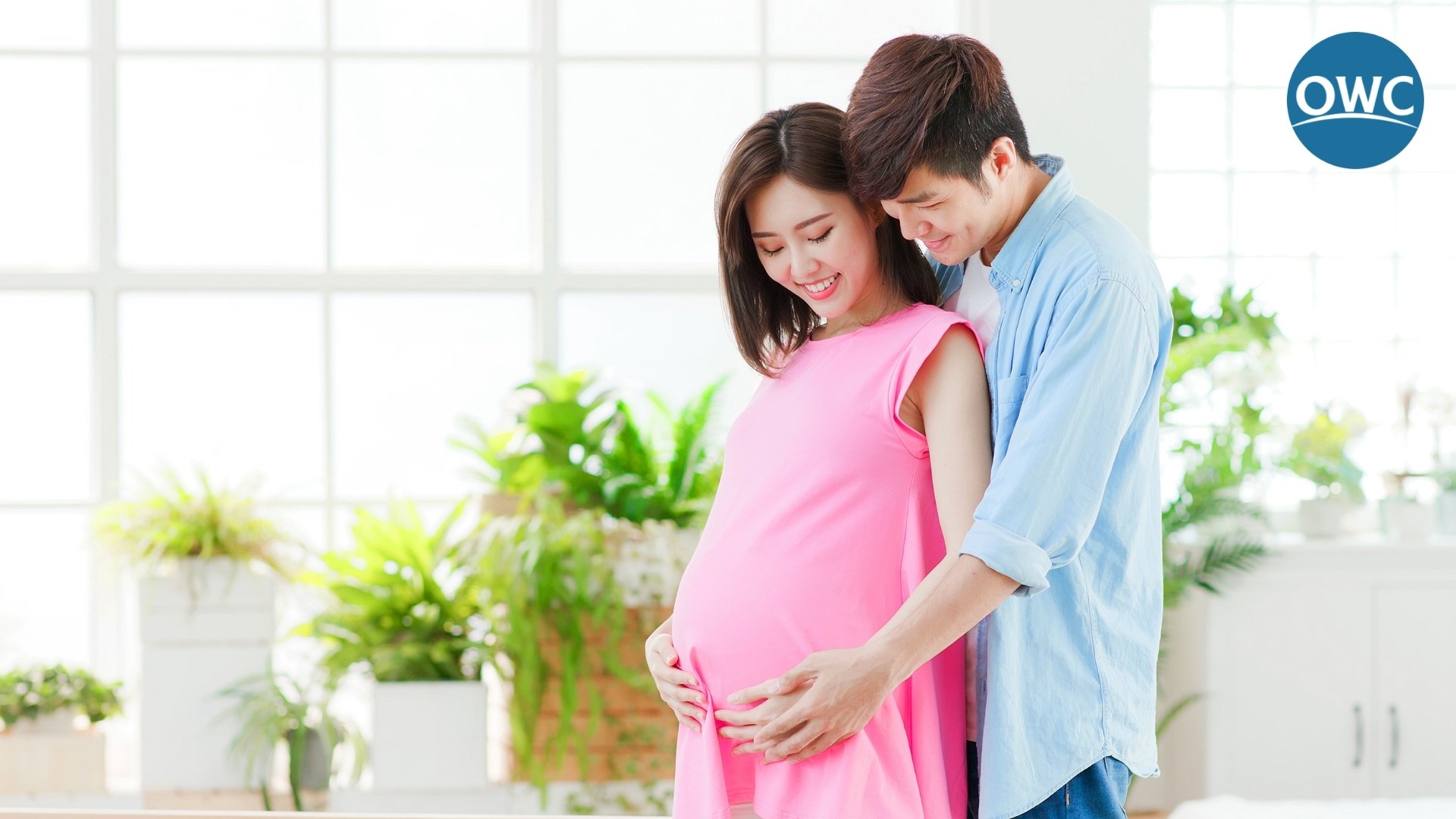 Maternity Health Insurance